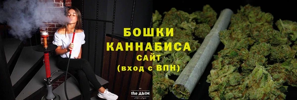 ПСИЛОЦИБИНОВЫЕ ГРИБЫ Балабаново